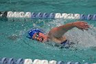 Swim vs Bentley  Wheaton College Swimming & Diving vs Bentley University. - Photo by Keith Nordstrom : Wheaton, Swimming & Diving